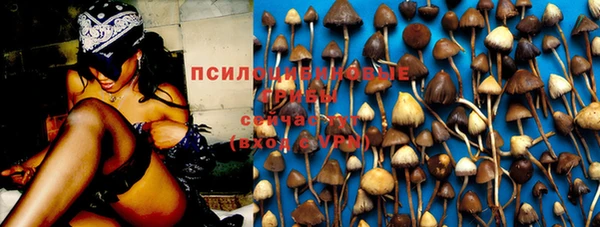 мдма Медвежьегорск