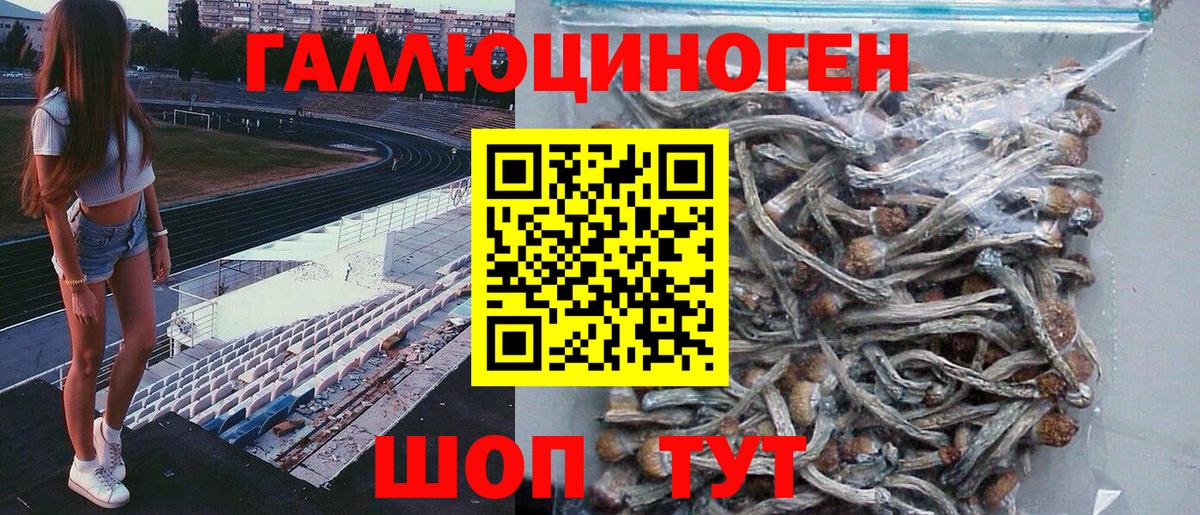 цены наркотик  Галлюциногенные грибы MAGIC MUSHROOMS  Вход с VPN  Чернушка 