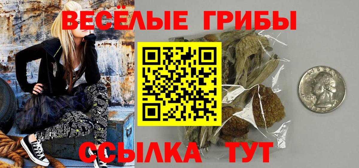 Псилоцибиновые грибы Cubensis  Галлюциногенные грибы MAGIC MUSHROOMS  Чернушка 