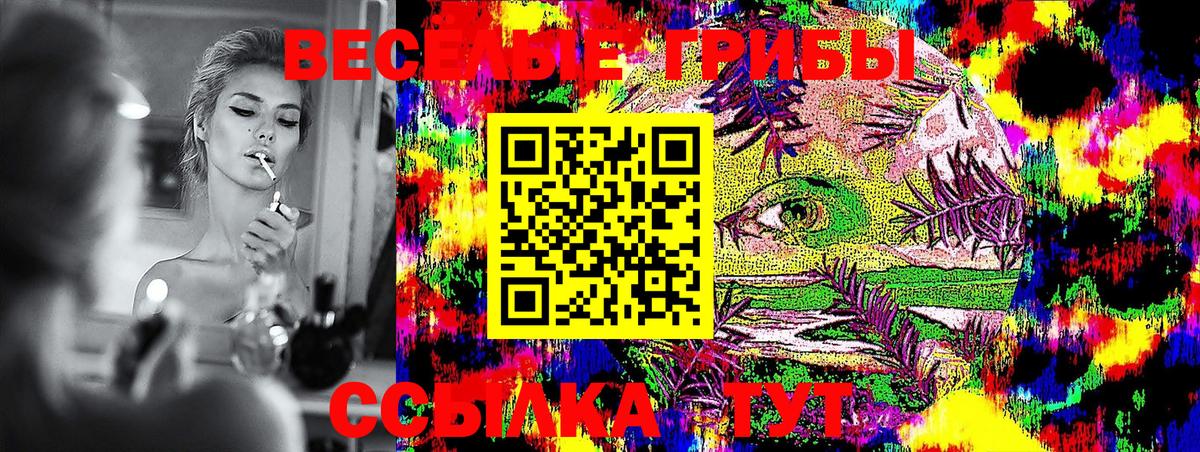 Галлюциногенные грибы Magic Shrooms Чернушка