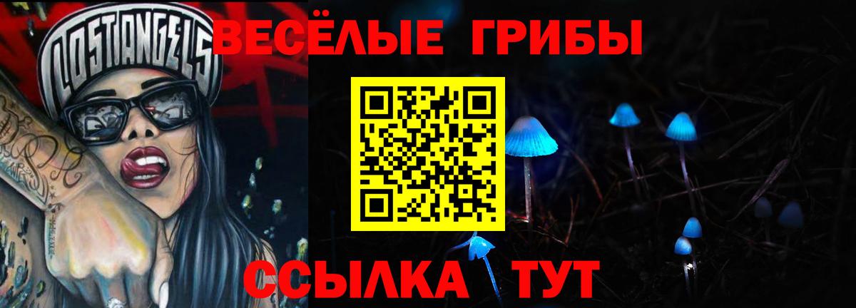 Псилоцибиновые грибы прущие грибы Чернушка