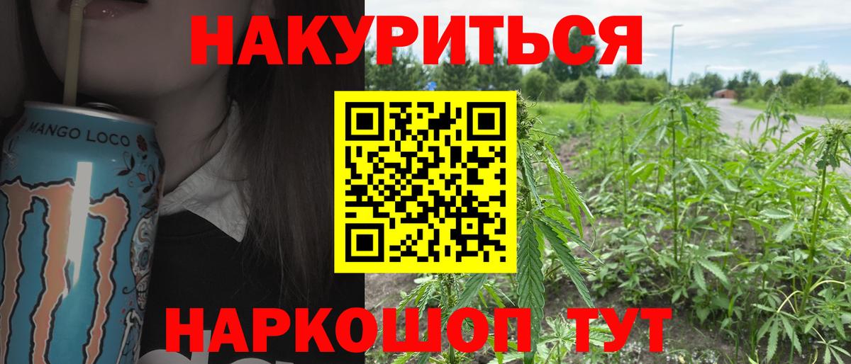 Каннабис ГИДРОПОН  Чернушка  Конопля план  Бошки марихуана тримм  Каннабис MAZAR 